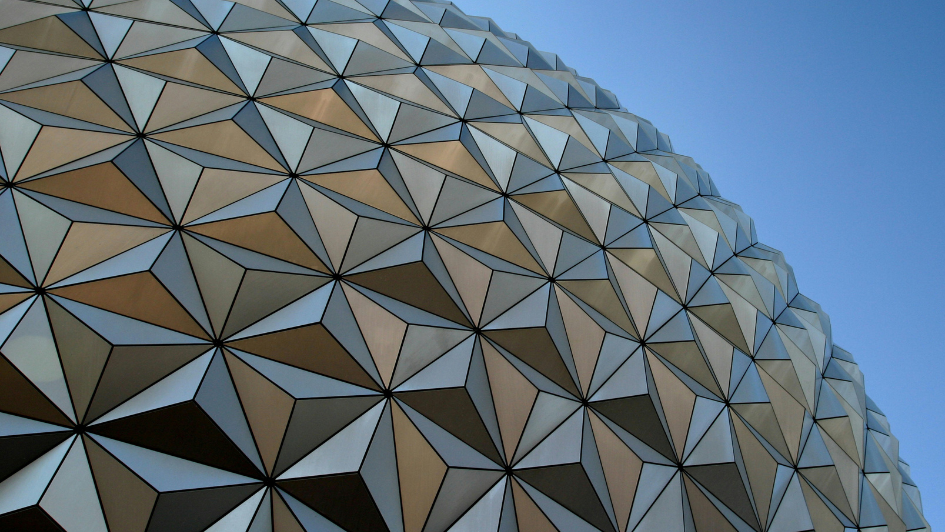 What Disney Teaches Us About Building Elite Physical Therapy Teams