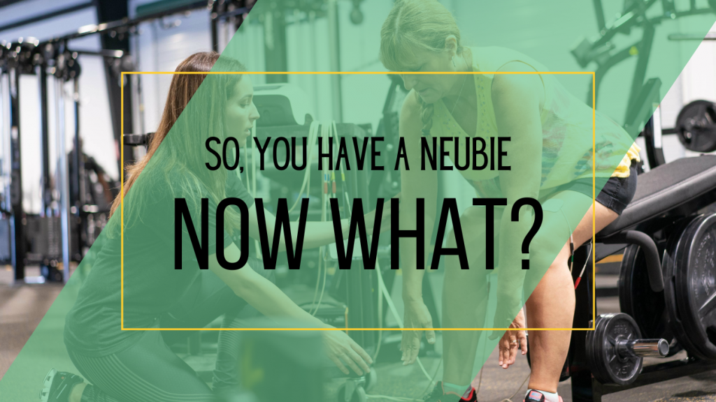 NEUBIE Makes Business Sense for Your Local Physical Therapy Practice