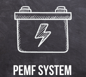PEMF system