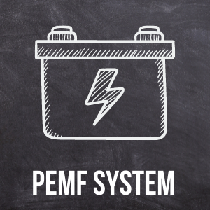PEMF System