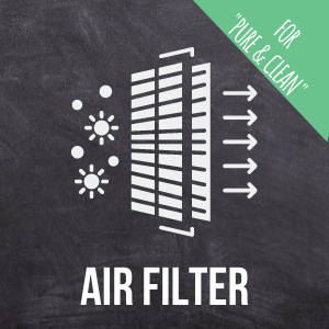 pure and clean air filter