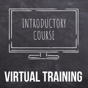 introduction course virtual training