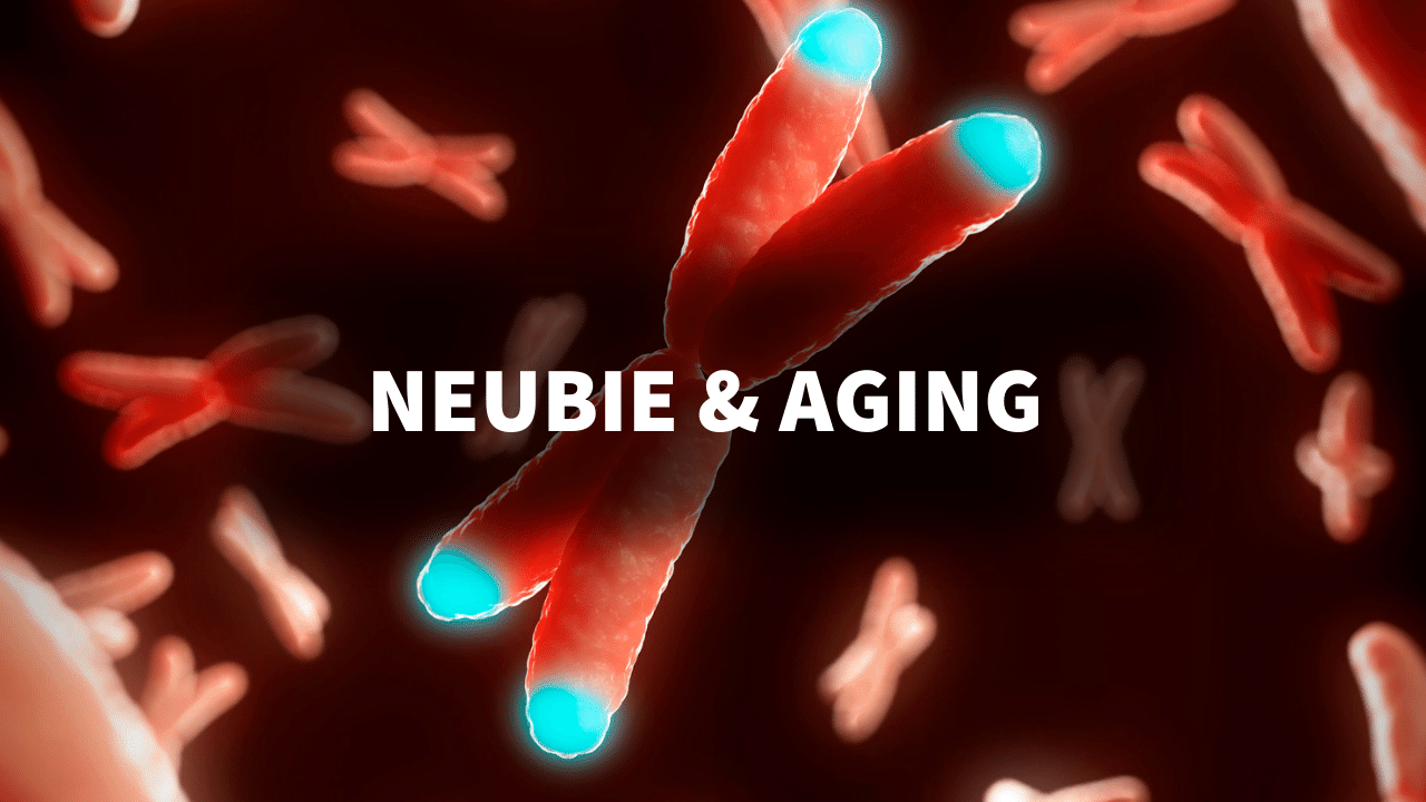 Revolutionizing Geriatric Rehabilitation Using the NEUBIE's Advanced Approach to Muscle Strength and Aging